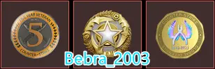 8Game-CS2 Prime 557 hours+3Medals(2025 Service Medal/5Y/Global Offensive Badge)