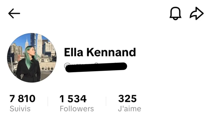 [Code 8649] 1500 Followers + 300 Likes / Very Cheap
