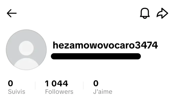 [Code 8812] Local France / 1k Followers / Very Cheap
