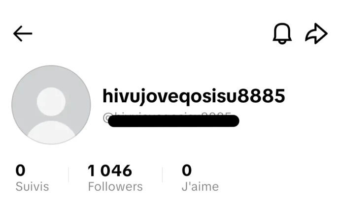 [Code 8813] Local France / 1k Followers / Very Cheap