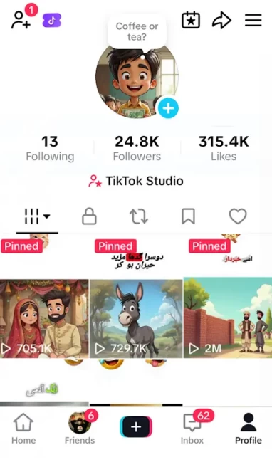 Instanly Delivery/ Monetized 24K Followers+315K Likes Account/ Creator Rewards Program Activated/ Live Stream/ Full Access