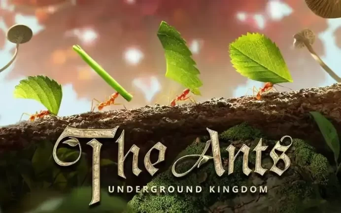 500 Ant Coin