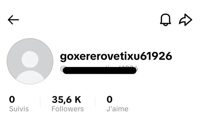 [Code 8871] 35k Followers / Very Cheap