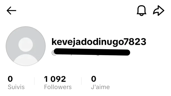 [Code 8882] Local France / 1k Followers / Very Cheap