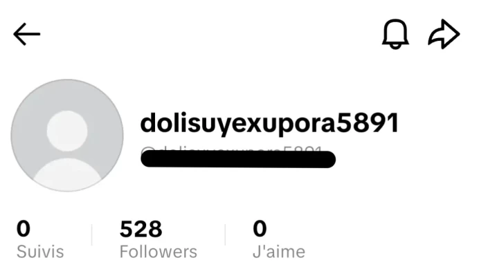 [Code 8918] 500 Followers / Very Cheap