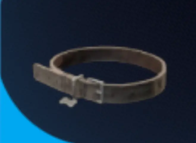 Dog collar    PC/PS5/XBOX