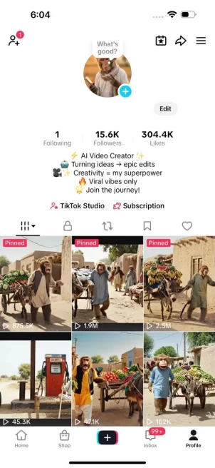 [Discounted] Monetized Creator Rewards Program Account | 15K Authentic Followers & 304K Likes | Verified Screenshots + Instant Delivery