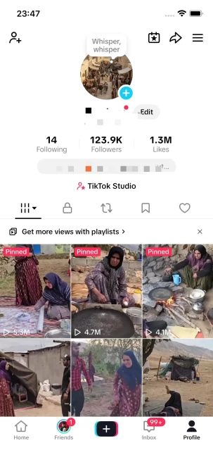 Instanly Delivery/ France Monetized 120K Followers+1.3M Likes Account/ Creator Rewards Program Activated/ Live Stream/ Full Access