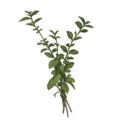 10* Great mullein  - [PC/PS/XBOX] - Real stock + Fast delivery