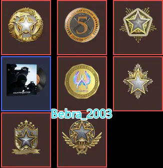 CS2 Prime 1667 hours+7Medals(2021-2022-2023-2024-2025 Service Medal/5Y/Global Offensive Badge)