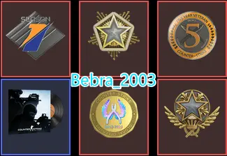 CS2 Prime 434 hours+5Medals(2021-2024 Service Medal/Premier Season One Medal/5Y/Global Offensive Badge)