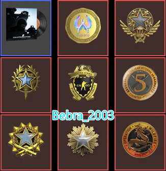 24Game-CS2 Prime+8Medals(Operation Wildfire/2016-2017-2020-2021 Service Medal/5Y/Loyalty Badge/Global Offensive Badge)