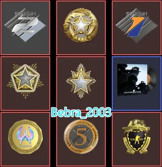 CS2 Prime 1026 hours+8Medals(2023-2024-2025 Service Medal/Premier Season One Medal-Season Two Medal/5Y/Loyalty Badge/Global Offensive Badge)