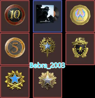 CS2 Prime 1254 hours+7Medals(2016-2017-2020 Service Medal/10Y/5Y/Loyalty Badge/Global Offensive Badge)