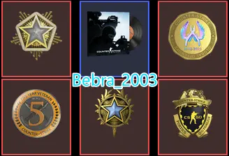 CS2 Prime 622 hours+5Medals(2020-2024 Service Medal/5Y/Loyalty Badge/Global Offensive Badge)