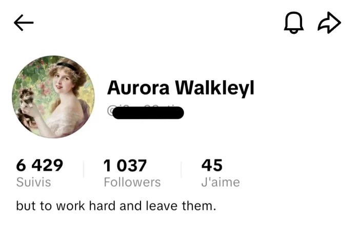 [Code 9097] 1k Followers + 45 Likes / Very Cheap