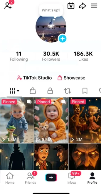 Instanly Delivery/ Monetized 30K Followers+186K Likes Account/ Creator Rewards Program Activated/ Full Access