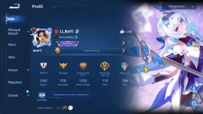 Hero 110 Skin 206 |Blessed Da Qiao,Nakoruru|Legend Dun,SAIYA DharmaLady Sun,KIC Luna,GM,Sanxingdui ,Etc|Infinite|(HOK1793)