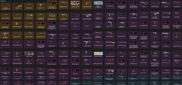 PC Rainbow Six Siege | 74 Operators | 222 Skins | 12 Black Ice | Full Access