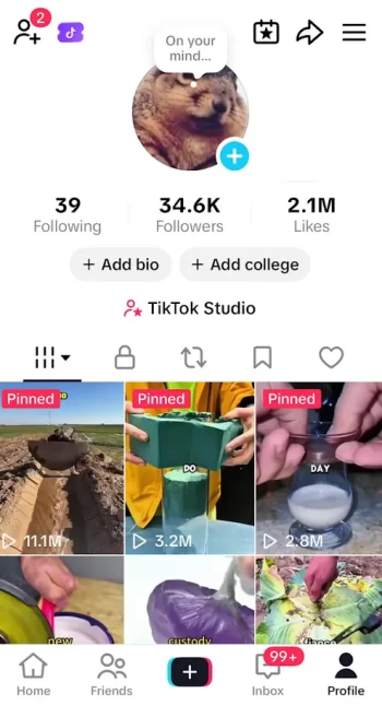 USA Monetized Account/ 34K Real Followers+2.1M Real Likes/ Creator Rewards Program Activated/ Live Stream/ Full Access