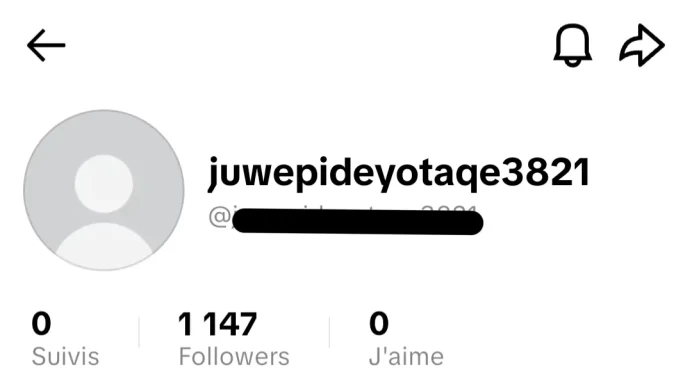 [Code 9186] Local France / 1k Followers / Very Cheap