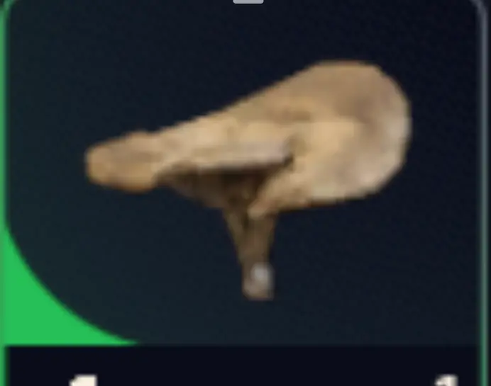 *10 Mushroom     PC/PS5/XBOX