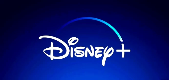 D*sney + Subscription 6 Months (FR)