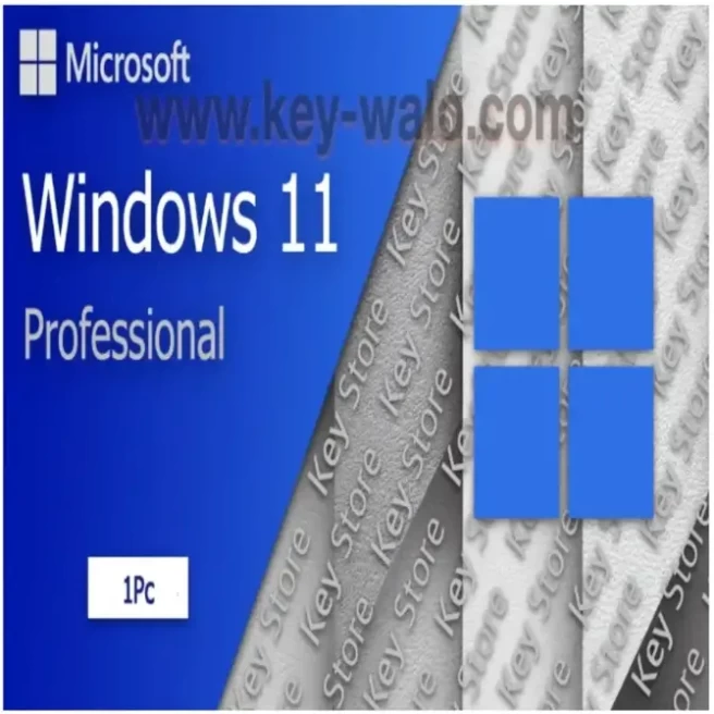 Windows 11 Professional Online - Lifetime- 1 pc (Global)