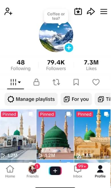 Germany Monetized Account/ 79K Followers+7.3M Likes/ Creator Rewards Program Activated/ Live Stream/ Full Access