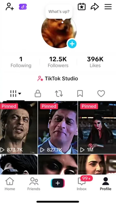 Instanly Delivery/ Monetized 12K Followers+396K Likes Account/ Creator Rewards Program Activated/ Live Stream/ Full Access