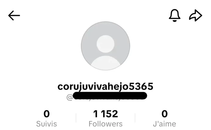 [Code 9262] 1k Followers / Very Cheap