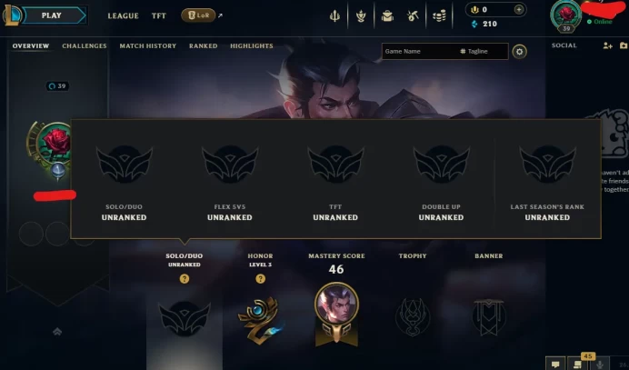 【EUW】Level 39 42 Champ/ 4 Skins Full Access High Quality Account Instant Delivery️