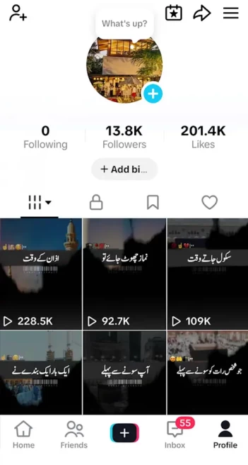 France Monetized Account/ 13K Followers+200K Likes/ Creator Rewards Program Activated/ Live Stream/ Full Access