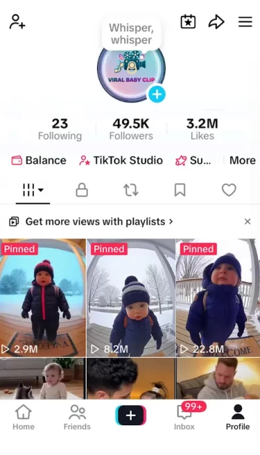 Instanly Delivery/ Monetized 49K Real Followers+3.2M Real Likes Account/ Creator Rewards Program Activated/ Live Stream/ Full Access