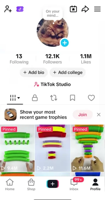USA Monetized Account/ 12K Real Followers+1.1M Real Likes/ Creator Rewards Program Activated/ Live Stream/ Full Access