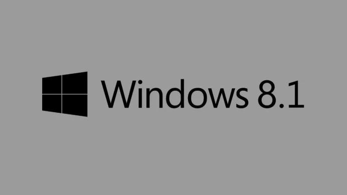 Windows 8.1 Professional OEM Key (Global)