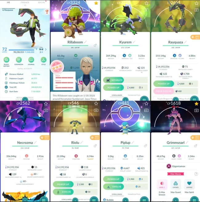 1959 Level 72 White Kyurem100 Shiny Mega Metagross Shiny Rayquaza
