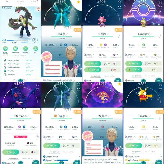 1960 Level 70 Legends100 x19 Eternatus Shiny Toxel 