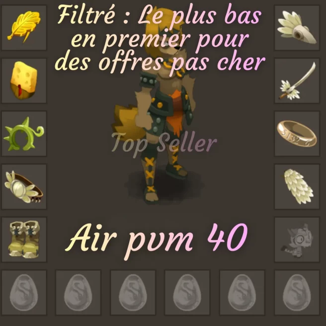 Brial : Stuff 370 AIR PVM 40 + Top bonus kamas - Top Vente