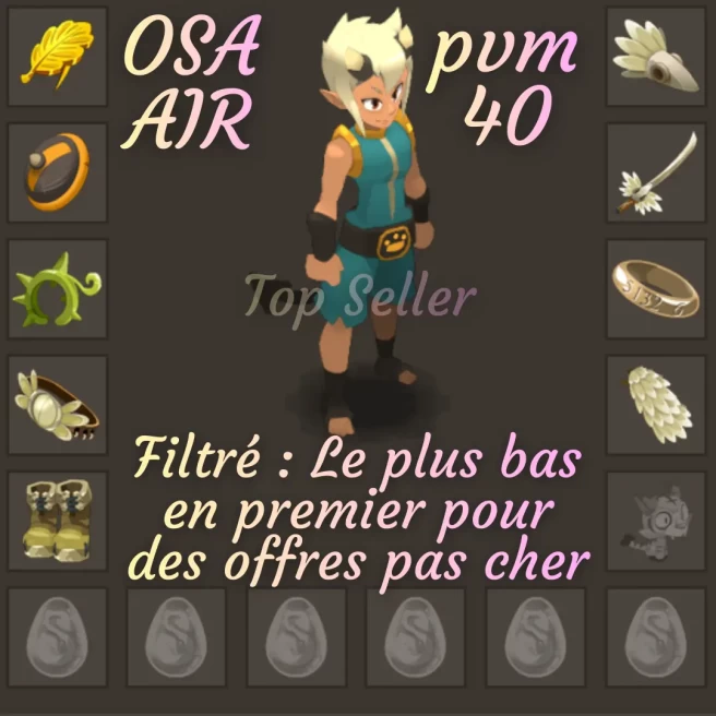rafal : Stuff OSA AIR PVM 40 + Top bonus kamas - Top Vente