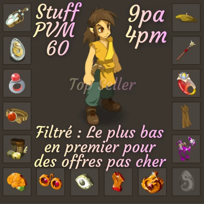 Stuff feu PVM lvl 60+ Top bonus kamas - Top Vente