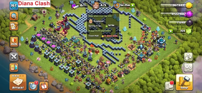 TH13 Max-XP167 - 5 Hero Max-5 Hero Skins-488 Raid Medals-Lifetime Warranty-Immediate Delivery