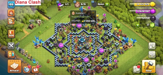TH13 Max -XP186 - 5 Max Heroes -8 Hero Skins -1406 Raid Medals -Lifetime Warranty -Immediate Delivery