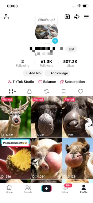Instanly Delivery/ 61K Real Followers+500K Real Likes Account/ Live Stream/ Full Access
