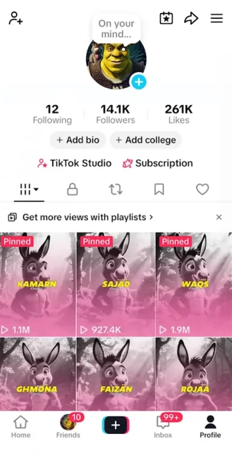 Instanly Delivery/ Monetized 14K Real Followers+261K Real Likes Account/ Creator Rewards Program Activated/ Live Stream/ Full Access