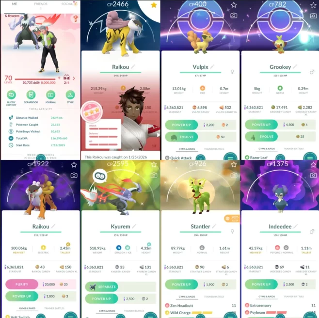 1975 Level 70 Raikou100 Cresselia100 Shiny Shadow Raikou x3
