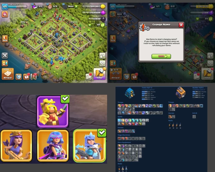 ■TH:12 (+45%) ■Heroes: K36 Q47 P20 W19 ■Skins:4 ■BH:8 ■Full Access ■Instant Delivery ■A5582