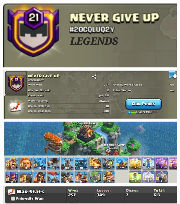 NEVER GIVE UP !! LEVEL 21 !! CAPITAL PEAK 10 ( ALMOST MAX TROOPS) !! WIN 257 LOSS 349 !! PERFECT NAME !! CHEAP !! FAST DELIVERY