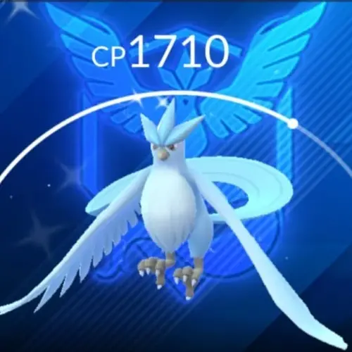 Trade || Kalos Tour Special BG | Shiny ARTICUNO | Stardust required: 20K or 1M