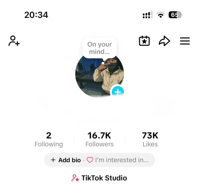 FR France| Account 16.7K Real Followers /Creator Rewards Program Active/73K Real Likes/ Email Include